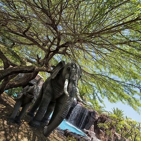 Lopesan Baobab Meloneras